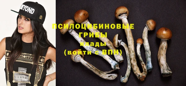 первитин Ладушкин
