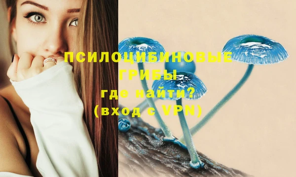 амф Горнозаводск