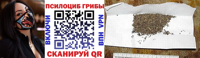 Галлюциногенные грибы ЛСД  Междуреченск 